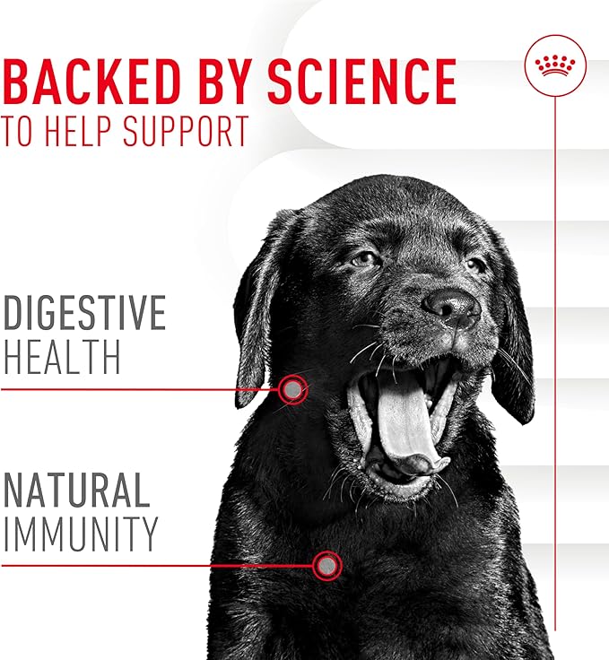 Royal Canin Puppy Supplement Soft Chews for Immunity & Digestion, 60 Count (Pack of 3)