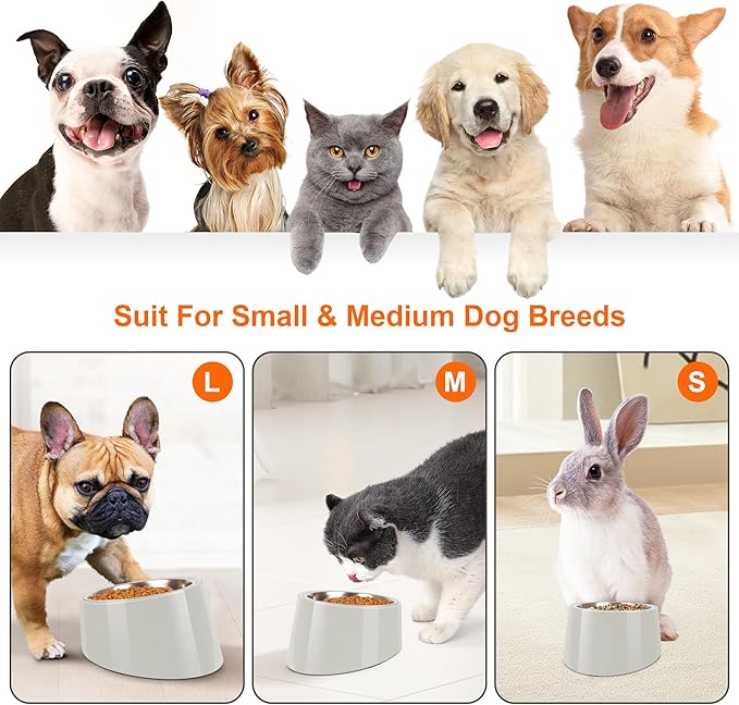 Tilted Dog Bowl Non-Slip & Non-Spill Pet Feeder with Elevated Detachable Melamine Stand, Easy to Get Food Dog Dish, L/300ml Gray