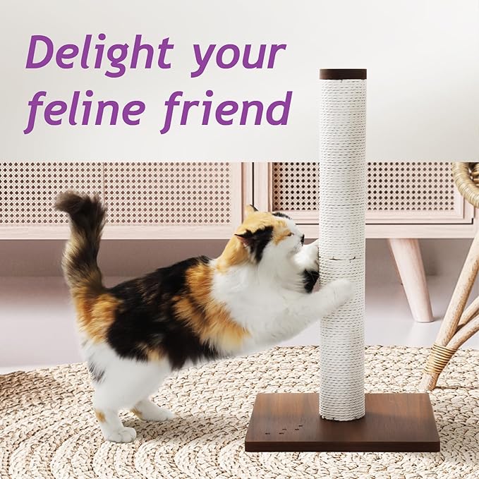 Necoichi 23.6” Tall Cat Scratching Post Kitten Scratcher Paper Rope Scratch Posts Trees with Hanging for Indoor Cats (23.6 inches for Kitty, Regular, Dark Cherry)