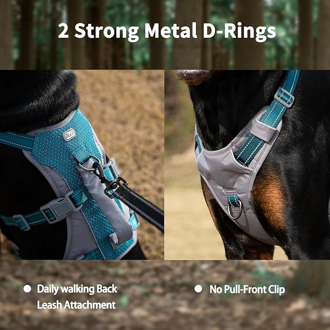 Huntboo Reflective Dog Harness with Handle, Escape Proof, No Slip, Breathable, Lightweight, Adjustable Lift Harness for Small, Medium, and Large Dogs Walking, Training, and Running Gear(Teal Blue,M)