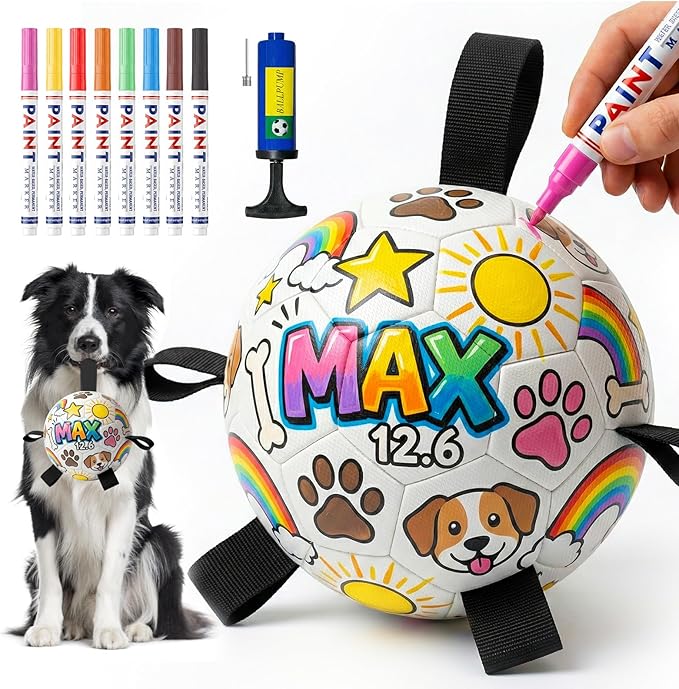 HETOO Dog Soccer Ball with Straps, DIY Paintable Dog Toy Ball Kit with 8 Color Markers,Personalized Interactive Dog Toys for Small Medium Dogs Puppies,6 Inch Birthday Gift Pet Toy