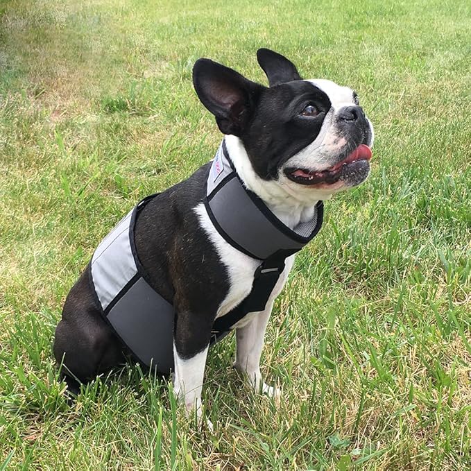CoolerDog Dog Cooling Vest and Cooling Collar - Ice Vest for Dogs Small (18" to 22" Girth)