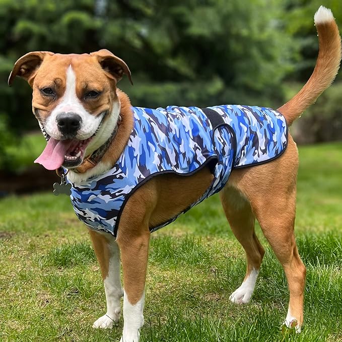 Dog Cooling Vest - 2-Layer Lightweight Performance - UPF50+ Full Coverage & Adjustable Fit for Small to Large Dogs (Blue, X-Large)