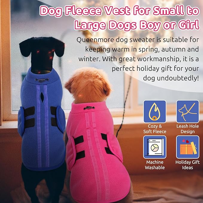 Queenmore XXS Dog Sweater, Soft Fleece Vest Pullover with Leash Hole, Warm Winter Dog Coats for Small Dogs Cats, Boy or Girl (Blue, XXS)