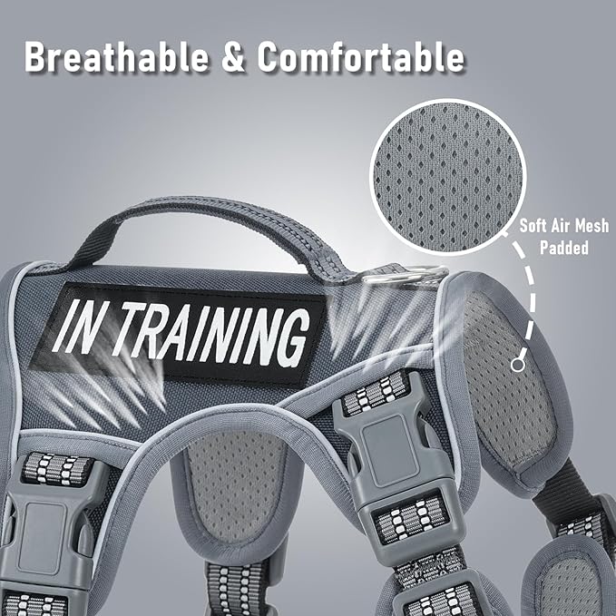 No Pull Dog Harness for Large Dogs with 2 Metal Clips, Easy On/Off with Neck Buckle, Heavy Duty Adjustable Tactical Puppy Vest, Breathable Pet Harness with Easy Control Handle, Gray L