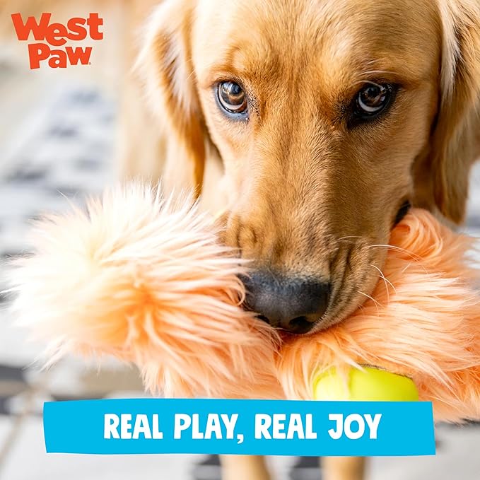 WEST PAW Rowdies Astrid Durable Plush Dog Toy with Reinforced Seams and Chew Resistant Design for Tough Play Safe Indoor or Outdoor Fun for Dogs Who Deserve the Best - Melon