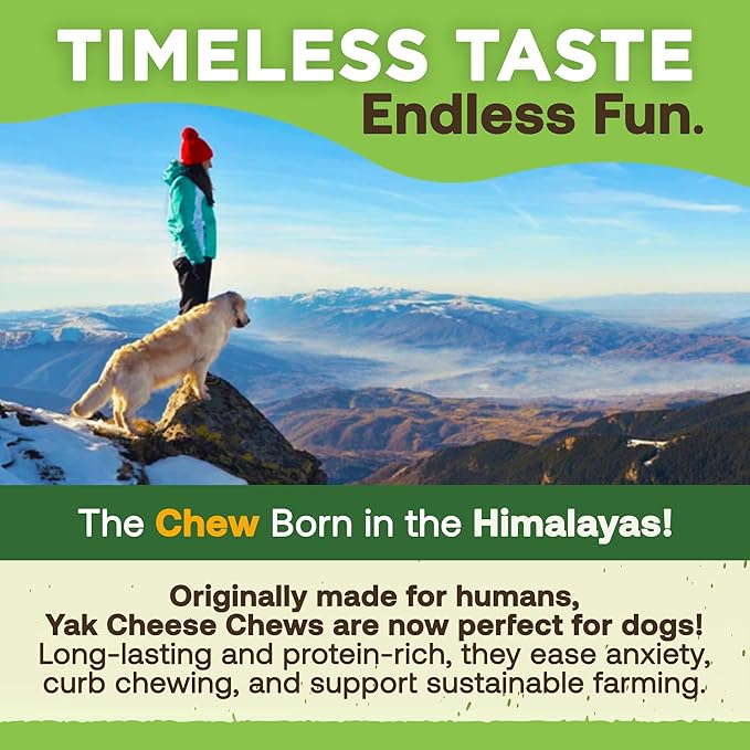 EcoKind Premium Gold Yak Cheese Himalayan Dog Chews, Dog Treats Large Breed, All Natural, High Protein Dog Chew, Cheese, Large - 18+ Chews