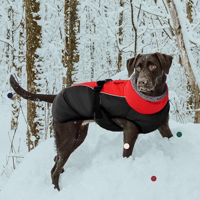 IECOii Extra Warm Dog Coat - Reflective Adjustable Dog Jacket with Buckle Fleece Turtleneck for Cold Weather - Soft Winter Coat for Small, Medium, Extra Large Dogs