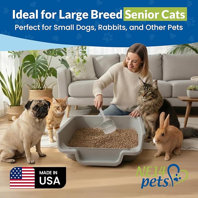 KittyGoHere Senior Cat Litter Box, Jumbo Litter pan, Open Top Low Entrance Kitty Litter Box, Lightweight Low Entry Litters Box, Durable, Made in USA (2 Pack - Misty Gray)