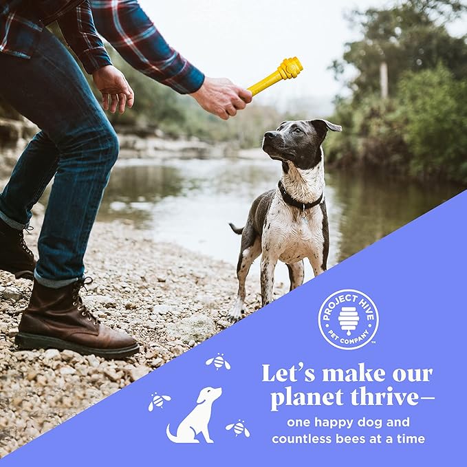 PROJECT HIVE ·PET COMPANY· - Hive Dog Fetch Stick for Large Breeds - Dog Stick Toy - Floats in Water - Treat Dispenser Toy - Durable and Tough - Made in The USA