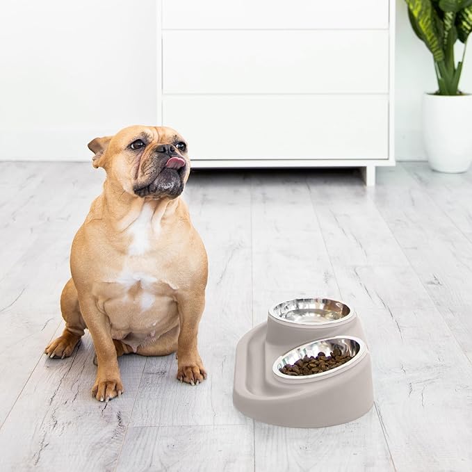 Ubbi Pet Feeding Bowls Set with Non-Slip Mat, Elevated & Flat Stainless Steel Dog or Cat Bowls, Ergonomic 15° Angled Feeder, Dishwasher Safe, Taupe