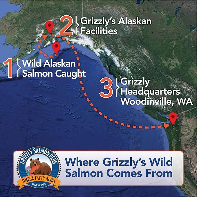 Grizzly Wild Alaskan Salmon Oil Dog Food Supplement Omega 3 Fatty Acids, 16 oz