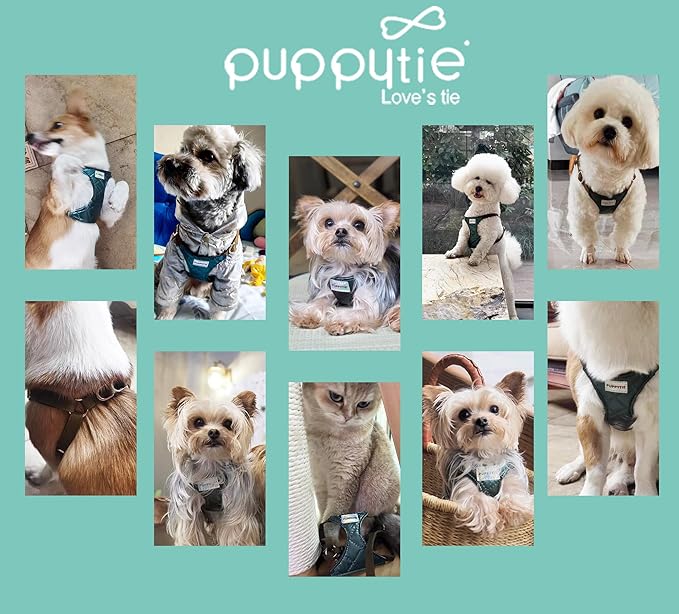 Puppytie No Pull Small Dog Harness with Multifunction Dog Leash,Lightweight Soft Adjustable No Choke Escape Proof Pet Harness Vest Pet Harness Vest,Glossy Dark Green,S