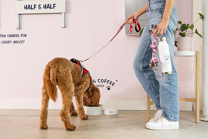 Support Pets Official ESA Emotional Support Dog Leash 6 ft – Heavy Duty Dog Leash for Large, Small, and Medium Dogs – Emotional Support Pets - Public Friendly ESA Accessory – Durable Nylon