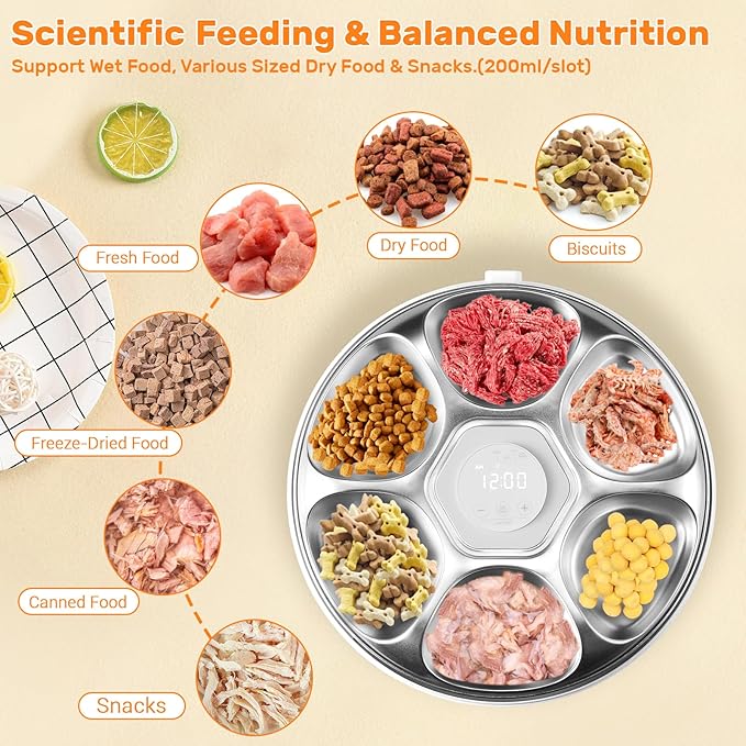 Automatic Cat Feeder Wet Food, Auto Wet Food Feeder for Pets with Two Ice Packs, Digital Cordless Pet Fresh Food Bowl for Newborn Senior Sick Cats and Small Dogs (6-Meal Stainless Steel Food Tray)