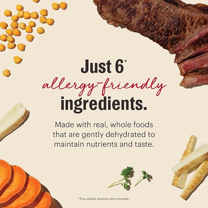 The Honest Kitchen Wholemade™ Limited Ingredient Beef Dehydrated Dog Food, 10 lb Box