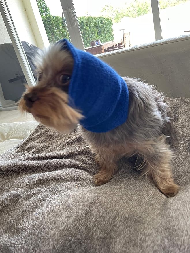 Pet Hoodz PHSB Pet Hoodies, Blue - Small