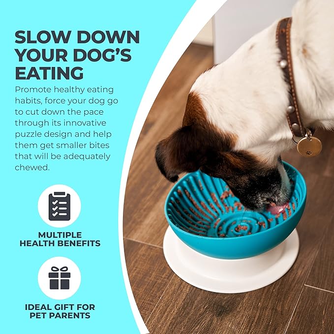 Slow Feeder Dog Lick Bowl 2in1 Elevated Set – Silicone Mat with Suction & Raised Stand, Puzzle Design Slows Eating, Anti-Bloat Interactive Dish, Dishwasher Safe, Gray
