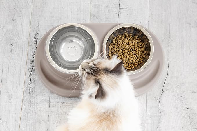Ubbi Pet Feeding Bowls Set with Non-Slip Mat, Elevated & Flat Stainless Steel Dog or Cat Bowls, Ergonomic 15° Angled Feeder, Dishwasher Safe, Taupe