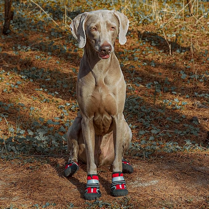 Dog Shoes, 4 PCS Dogs Booties Hot Pavement, Waterproof Non-Slip with Reflective Strips, Large Medium Small Puppy Paw Protector for Walking