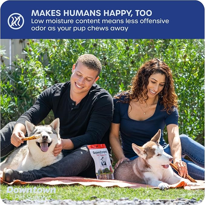 Downtown Pet Supply USA-Made 6", 8 Oz. Jumbo Bully Sticks for Large Dogs - Rawhide Free Dog Chews Long Lasting and Non-Splintering - Single Ingredient, Low Odor Bully Sticks for Medium Dogs