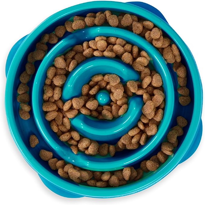 Outward Hound Fun Feeder Slo Bowl Slow Feeder Dog Bowl Bundle, Large/Regular and Medium/Mini, Purple and Turquoise