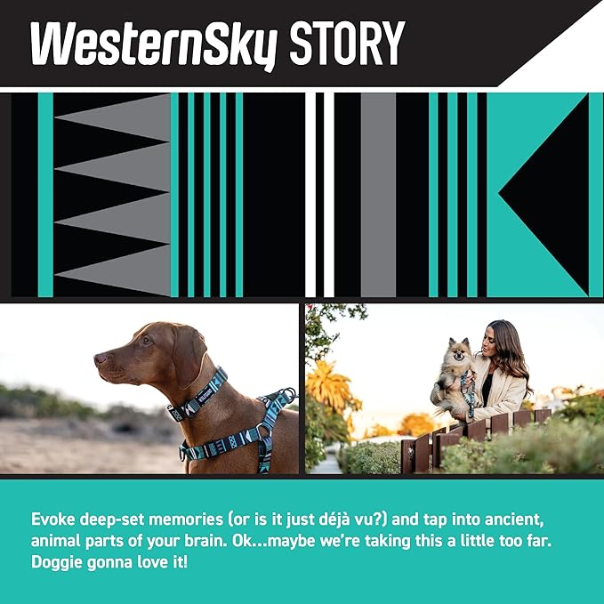 Wolfgang Heavy Duty Adjustable Dog Harness, Pull-Tested to Over 800 lbs for Walking & Training, WesternSky Print, Small