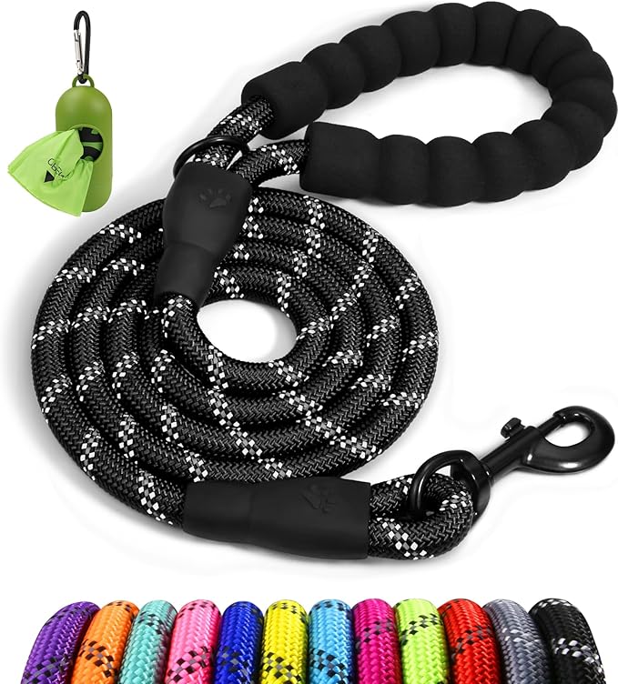 Taglory Rope Dog Leash 6FT with Comfortable Padded Handle, Highly Reflective Threads Leash for Small Dogs, 3/8 inch, Black
