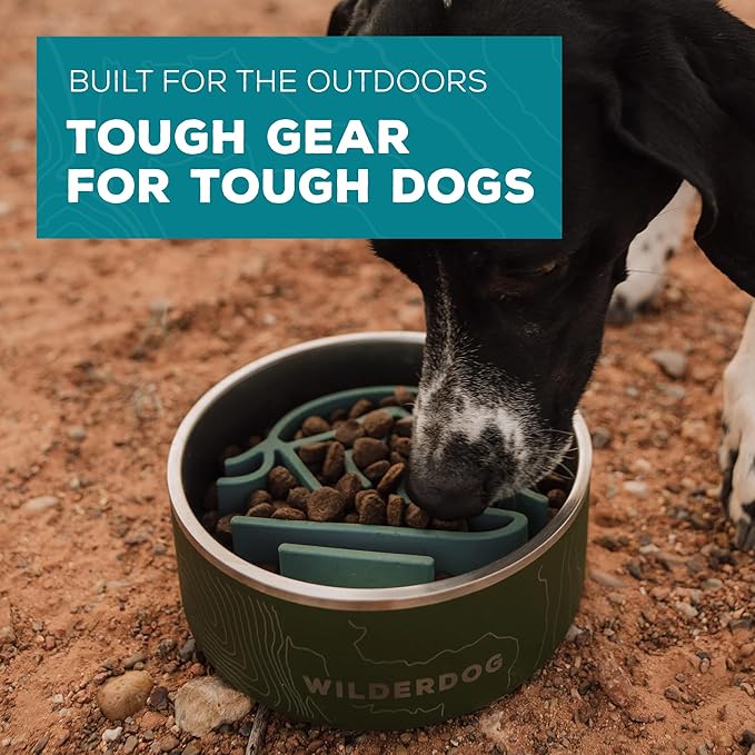 Wilderdog Slow Feeder & Stainless Steel Dog Bowl Set – Olive 32 oz BPA-Free Kitchen-Grade Steel with Non-Slip Base – Feeder Promotes Healthy Digestion – Fits 7"+ Bowls – Dishwasher Safe