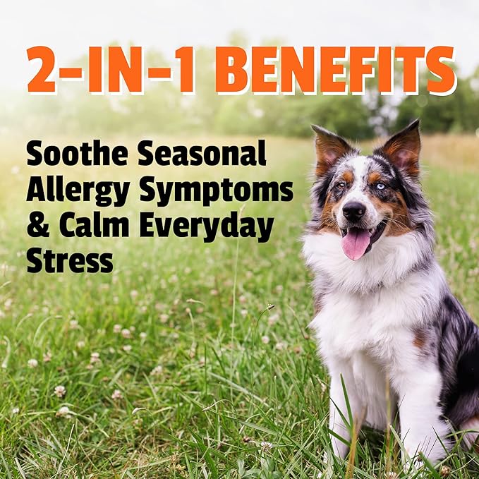 Pet Naturals Allergy Plus Calming for Dogs – 60 Ct Soft Chews, Seasonal Allergy & Stress Support with Quercetin, Salmon Oil, Probiotics & L-Theanine, Duck Flavor Supplement