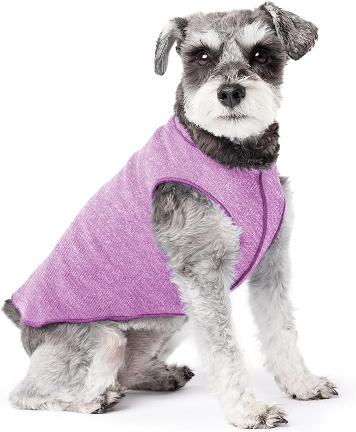 Goldpaw Dog Sun Shirt with UV Protection - Lightweight, Cooling Sun Protection Clothing for Dogs - Reduce Heat Absorption - Pet Clothes Made in The USA - Machine Washable - Violet - Size 10