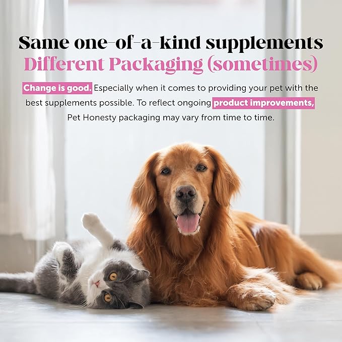 Pet Honesty Dog Allergy & Itch Relief - Advanced Itch Supplement with Probiotics for Dogs - Immune Support & Skin Relief for Seasonal Allergies - Natural Itchy Skin & Paw Relief - (Salmon, 90 Ct)