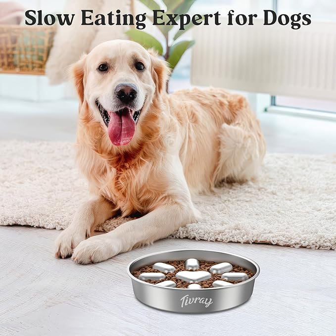 Slow Feeder Dog Bowls, 304 Stainless Steel Slow Feed Pet Bowl with Non-Slip Base for Medium Breed Dogs to Stop Bloat Prevent Choking, Dishwasher Safe, Silver