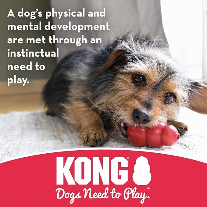 KONG - Biscuit Ball - Durable Rubber, Treat Dispensing Toy - for Large Dogs