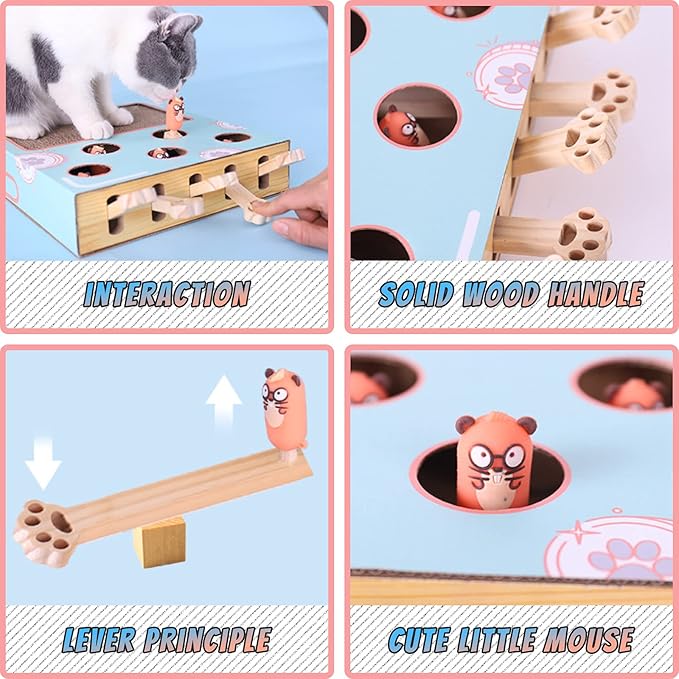 Enrichment Toys for Indoor Cats with cat Scratching pad, Cat Cardboard Box to Make Lots of Fun, cat Interactive Toy to Relieve Boredom and Train IQ