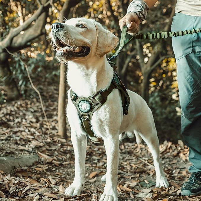 OneTigris Dog Harness, Tactical Dog Harness No-Pull Breathable Adjustable Pet Vest with Handle for Outdoor Walking(Ranger Green,Small)