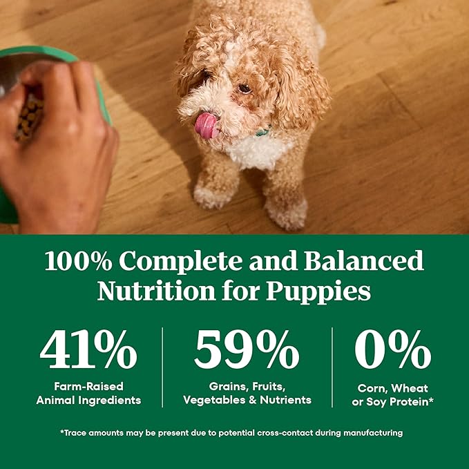 Nutro Natural Choice Lamb & Brown Rice Large Breed Puppy Food Dry Recipe, 30 lb. Bag