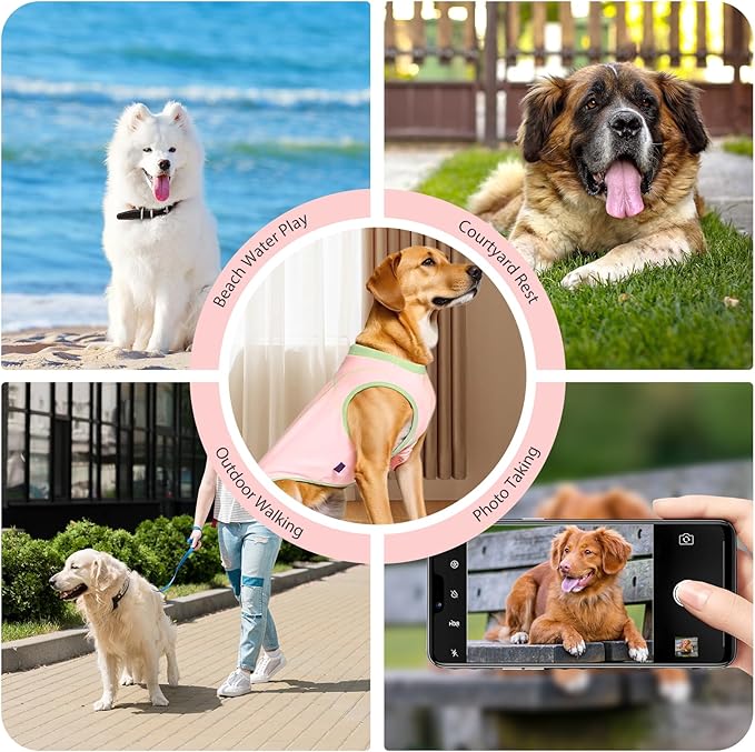 2 Pack Dog Summer Clothes Color Blocking Dog Shirts for Medium/Large Dogs Stretchable Doggy Cooling Vest Breathable Sun Protection Shirt Fashion & Bright Color for Boys Girls