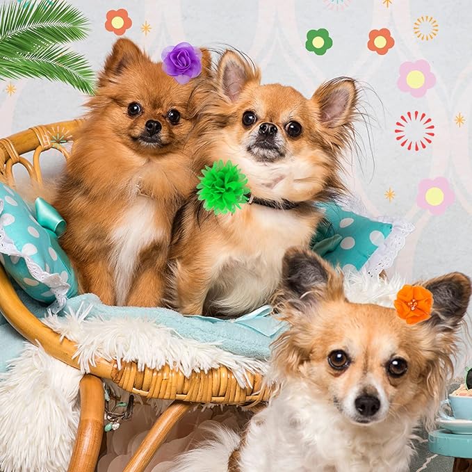 Saintrygo 42 Pcs Dog Collar Flowers Bow Accessories Bulk Multi Color Dog Floral Charms Bow Tie Pet Flower Bows for Small Medium Large Puppy Cat Grooming Easter Wedding Birthday Parties(Cute Colors)