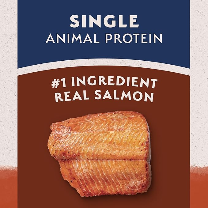 Natural Balance Limited Ingredient Grain Free Salmon & Sweet Potato Dry Dog Food, Sensitive Stomach, 12 lb (Pack of 1)
