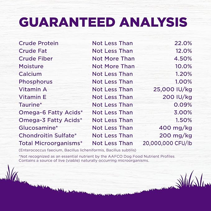 Wellness Complete Health Dry Dog Food, Wholesome Grains, Natural, Whitefish & Sweet Potato Recipe, (30-Pound Bag)
