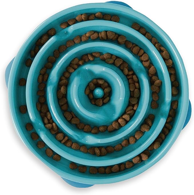 Petmate Aspen Pet 2.5 Gallon Gravity Waterer and Outward Hound Fun Feeder Slo Bowl Slow Feeder Dog Bowl Large/Regular Turquoise