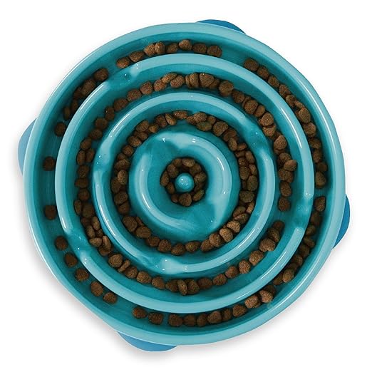 Outward Hound Fun Feeder Dog Bowl Slow Feeder, Large/Regular & Medium/Mini, Turquoise