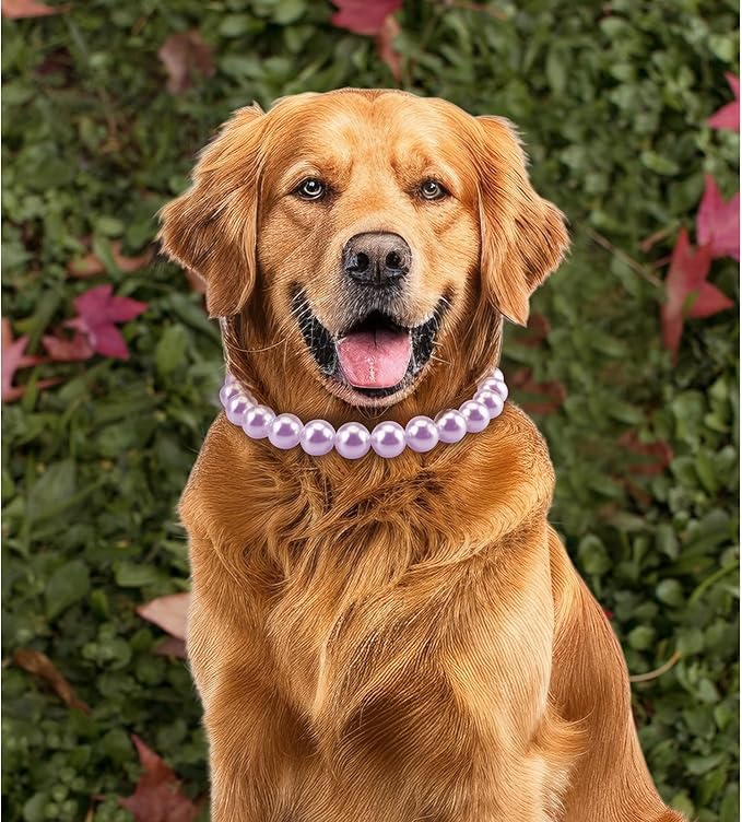 KUDES Chunky Pearl Dog Necklace (Beads 20mm),Elegant Classic Super Big Pearl Collar Necklace Accessories for Medium Large Dogs Occasions and Gatherings (Purple, L(Neck Girth17''-18.5''))