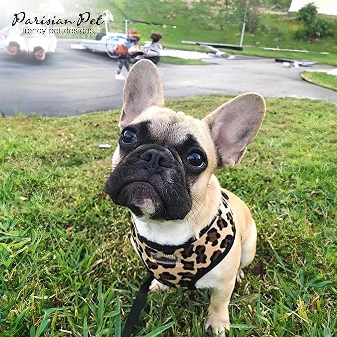 Parisian Pet Freedom Leopard Print Dog Harness - Adjustable, Mesh Fabric, Large Size - Perfect for Outdoor Adventures
