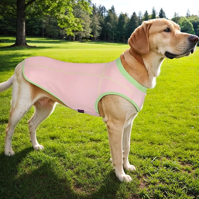 2 Pack Dog Summer Clothes Color Blocking Dog Shirts for Medium/Large Dogs Stretchable Doggy Cooling Vest Breathable Sun Protection Shirt Fashion & Bright Color for Boys Girls