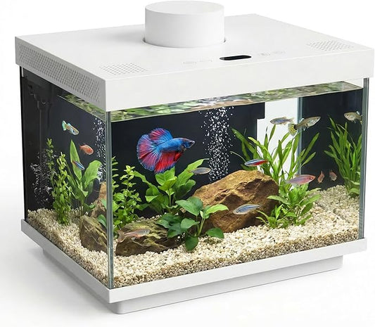 Smart Fish Tank, 1.82 Gallon Glass Aquarium Starter Kit with App Control, Auto Feeder with Dual-Direction Dispensing, Real-time Temperature Monitoring, LED Lighting, Small Fish Tank for Desktop Office