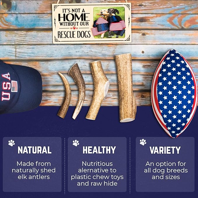 Devil Dog Pet Co - Elk Antler for Dogs Monster 12.5 oz Min - Long Lasting Dog Chew for XL & Giant Breed Power Chewers - Naturally Shed Grade A Rocky Mountain Elk, Anxiety & Boredom Relief (90+ lbs)