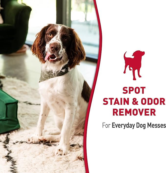 Nature's Miracle® Stain & Odor Remover, Tough on Dog Urine, Feces, Vomit, Drool and Other Organic Stains and Odors, 1 Gallon (Pack of 4)