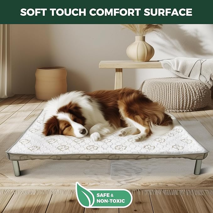 FXW TitanNest Chew-Proof Elevated Dog Bed, Raised Cot for Indoor/Outdoor/Camping Use, Durable & Washable Padded Pet Bed with Exclusive Cover for Medium Dogs, 41.0" L x 27.0" W x 5.0" H, Black